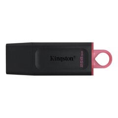 MEMORY DRIVE FLASH USB3.2/256GB DTX/256GB KINGSTON hinta ja tiedot | Muistitikut | hobbyhall.fi