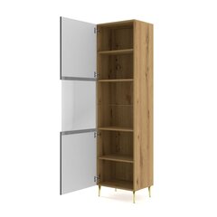 Akl Furniture Ravenna vitriini, musta/ruskea hinta ja tiedot | Vitriinit | hobbyhall.fi