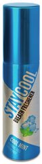 Suunraikastin Stay Cool Cool Mint 20 ml hinta ja tiedot | Stay Cool Hajuvedet ja kosmetiikka | hobbyhall.fi