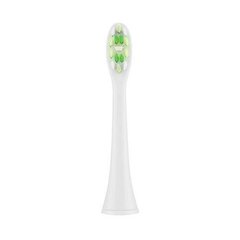 ETA Toothbrush replacement WhiteClean E hinta ja tiedot | Suuhygienia | hobbyhall.fi