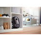 Philips Performer Compact XD3112/09 hinta ja tiedot | Pölynimurit | hobbyhall.fi