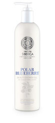 Suihkugeeli kauneudelle Natura Siberica Copenhagen Polar Blueberry 400 ml hinta ja tiedot | Suihkusaippuat ja suihkugeelit | hobbyhall.fi