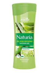 Joanna Naturia 300 ml Energisoiva suihkugeeli vihreällä sitruunalla ja aloe veralla hinta ja tiedot | Suihkusaippuat ja suihkugeelit | hobbyhall.fi