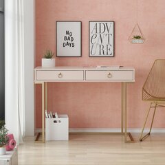 Kirjoituspöytä CosmoLiving by Cosmopolitan Camila, vaaleanpunainen hinta ja tiedot | Tietokonepöydät ja työpöydät | hobbyhall.fi