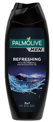 Suihkugeeli Palmolive Men Refreshing miehille, 500 ml. hinta ja tiedot | Suihkusaippuat ja suihkugeelit | hobbyhall.fi