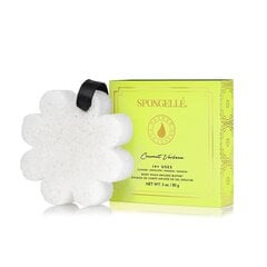 Vartalosieni, rikastettu suihkugeelillä Spongelle White Flower Coconut Verbena, 85 g hinta ja tiedot | Suihkusaippuat ja suihkugeelit | hobbyhall.fi