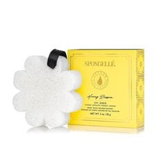 Suihkugeelillä rikastettu pesusieni Spongelle White Flower Honey Blossom, 85 g hinta ja tiedot | Suihkusaippuat ja suihkugeelit | hobbyhall.fi