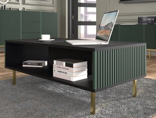 Sohvapöytä Ravenna, vihreä/musta hinta ja tiedot | Sohvapöydät | hobbyhall.fi