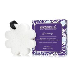 Hajustettu sieni Spongelle Boxed White Flower - Blackberry hinta ja tiedot | Suihkusaippuat ja suihkugeelit | hobbyhall.fi