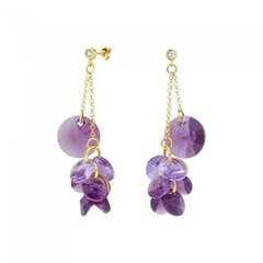 Naisten hopeakorvakorut DiamondSky "Orchid (Iris / Violet)" Swarovskin kristalleilla hinta ja tiedot | Korvakorut | hobbyhall.fi