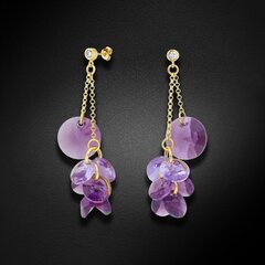 Naisten hopeakorvakorut DiamondSky "Orchid (Iris / Violet)" Swarovskin kristalleilla hinta ja tiedot | Korvakorut | hobbyhall.fi