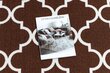 Kumipohjainen matto 57 cm Marokkolainen apilaruskea TRELLIS 30351 hinta ja tiedot | Isot matot | hobbyhall.fi