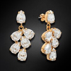Korvakorut "Amber II" Preciosa kristalleilla hinta ja tiedot | Korvakorut | hobbyhall.fi
