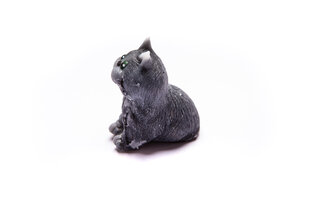 Glyseriini saippua, lahjapaketissa, Cheshire kissa, 3Dsoap, 100g hinta ja tiedot | Saippuat | hobbyhall.fi