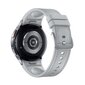 Samsung Galaxy Watch6 Classic 43mm BT Silver SM-R950NZSAEUE hinta ja tiedot | Älykellot | hobbyhall.fi