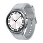 Samsung Galaxy Watch6 Classic 47mm BT Silver SM-R960NZSAEUE hinta ja tiedot | Älykellot | hobbyhall.fi