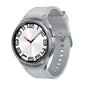 Samsung Galaxy Watch6 Classic 47mm LTE Silver SM-R965FZSAEUE hinta ja tiedot | Älykellot | hobbyhall.fi