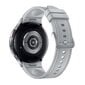 Samsung Galaxy Watch6 Classic 47mm LTE Silver SM-R965FZSAEUE hinta ja tiedot | Älykellot | hobbyhall.fi