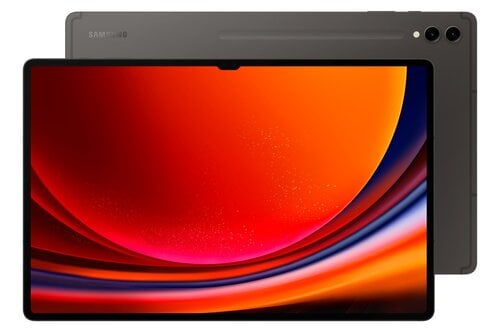 Samsung Galaxy Tab S9 Ultra 5G 12/256GB Graphite SM-X916BZAAEUE hinta ja tiedot | Tabletit | hobbyhall.fi