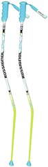 Laskettelusauvat Rossignol Radical GS/SG RDC1020, 135 cm, sininen hinta ja tiedot | Laskettelusauvat | hobbyhall.fi