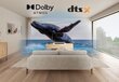 Sony 3.1 Dolby Atmos Soundbar HTS2000.CEL hinta ja tiedot | Kaiuttimet ja soundbarit | hobbyhall.fi