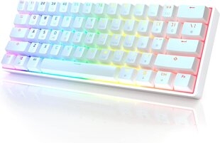 HK Gaming GK 61 langaton mekaaninen näppäimistö, valkoinen, Gateron hopea kytkin hinta ja tiedot | Näppäimistöt | hobbyhall.fi