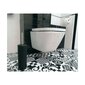 Ba-De AQUA WC-harja, valkoinen hinta ja tiedot | Kylpyhuoneen sisustus | hobbyhall.fi