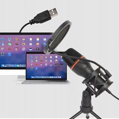 Mikrofoni suodattimella ja USB-kaapelilla, äänen tallennus, RGB-valaistus hinta ja tiedot | Mikrofonit | hobbyhall.fi