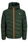 Takki JACK & JONES, 12236055MOUNTAINVIEW-S hinta ja tiedot | Miesten ulkoilutakit | hobbyhall.fi