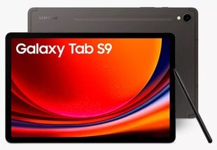 Samsung Galaxy Tab S9 WiFi 12/256GB Graphite SM-X710NZAEEUB hinta ja tiedot | Tabletit | hobbyhall.fi