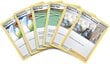 Pokemon TCG: V Battle Deck: Lycanroc vs. Corviknight -korttipeli Kaksi vahvaa Pokemon V:tä on valmis ottamaan mittaa toisistaan! hinta ja tiedot | Lautapelit ja älypelit | hobbyhall.fi