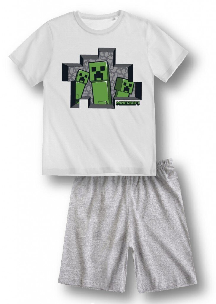 Lasten pyjama Minecraft hinta ja tiedot | Poikien kylpytakit ja pyjamat | hobbyhall.fi