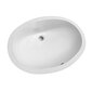 Ideal Standard Oval Vasque 57 cm x 41 cm x 1,7 cm Pesuallas hinta ja tiedot | Pesualtaat | hobbyhall.fi