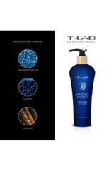 Hiusshampoo T-LAB Professional Sapphire Energy Duo Shampoo 300 ml hinta ja tiedot | Shampoot | hobbyhall.fi