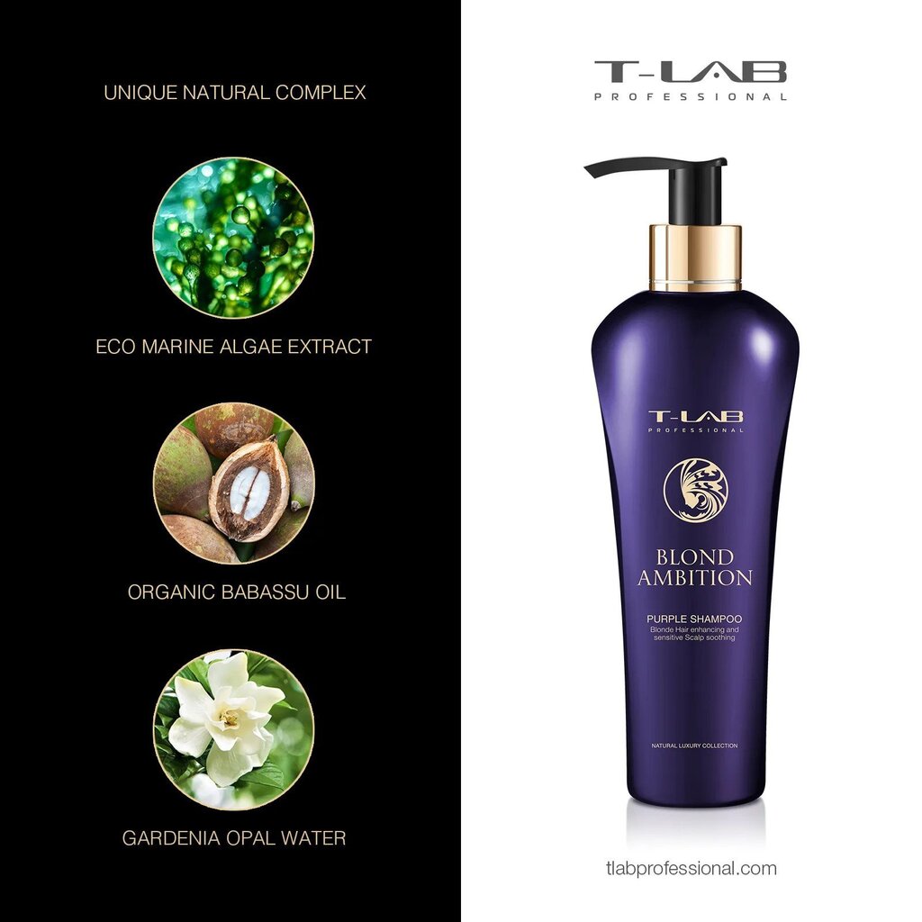 Vaaleat hiusshampoo T-LAB Professional Blond Ambition Purple Shampoo 300ml hinta ja tiedot | Shampoot | hobbyhall.fi