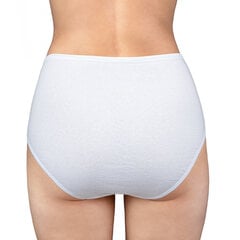 Naisten korkeat anis-alushousut, valkoinen, 2 kpl hinta ja tiedot | Naisten alushousut | hobbyhall.fi