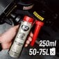K2 Diesel Go! suuttimen puhdistusaine, 250 ml hinta ja tiedot | Autokemikaalit | hobbyhall.fi