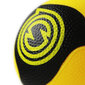 Spikeball Pro, 2kpl hinta ja tiedot | Pihapelit ja ulkopelit | hobbyhall.fi