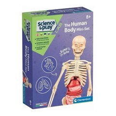 Opetuspeli Clementoni Human Body Mini hinta ja tiedot | Kehittävät lelut | hobbyhall.fi
