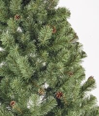 Joulukuusi kävyillä 250 cm hinta ja tiedot | Joulukuuset ja kranssit | hobbyhall.fi