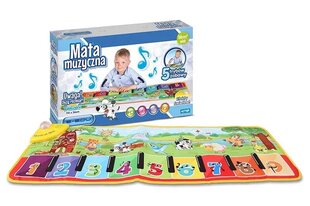 Musikaali Mat hinta ja tiedot | Kehittävät lelut | hobbyhall.fi