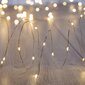 DecoKing valosarja Top, 20 LEDiä. hinta ja tiedot | Jouluvalot | hobbyhall.fi