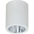 Luminex kattovailaisin Downlight round 7236