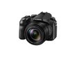 Panasonic DMC-FZ2000EP hinta ja tiedot | Kamerat | hobbyhall.fi