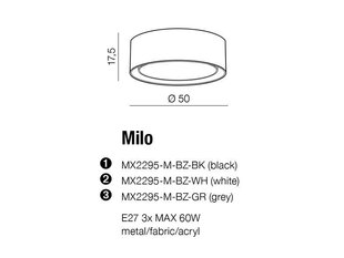 Azzardo kattovalaisin Milo AZ2318. hinta ja tiedot | Kattovalaisimet | hobbyhall.fi