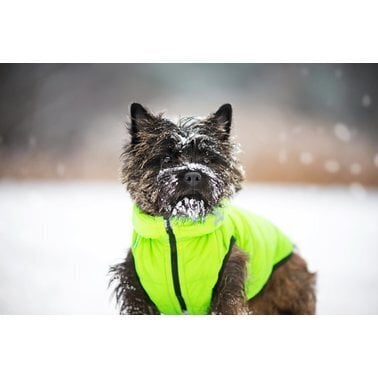 Takki koirille Collar AiryVest, eri kokoja, keltainen/musta hinta ja tiedot | Koiran vaatteet | hobbyhall.fi