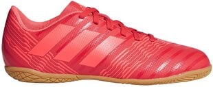 Adidas Jalkineet Nemeziz Tango 17.4 IN J Real Coral hinta ja tiedot | Adidas Urheilu ja vapaa-aika | hobbyhall.fi