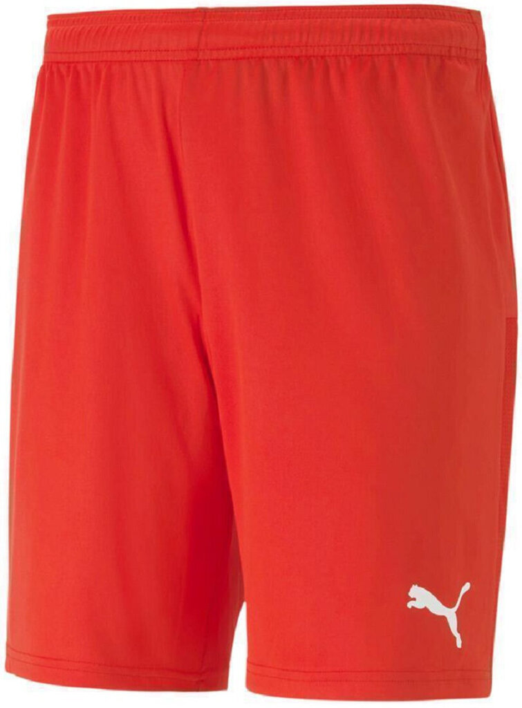 Puma Shortsit TeamGoal 23 Knit Shorts Red 704262 01 hinta ja tiedot | Jalkapallovaatteet ja -varusteet | hobbyhall.fi