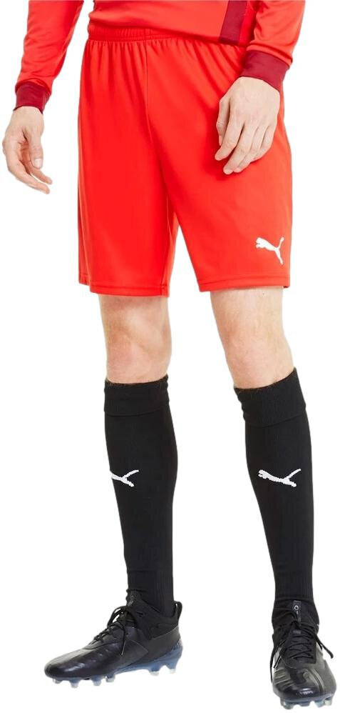 Puma Shortsit TeamGoal 23 Knit Shorts Red 704262 01 hinta ja tiedot | Jalkapallovaatteet ja -varusteet | hobbyhall.fi