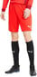 Puma Shortsit TeamGoal 23 Knit Shorts Red 704262 01 hinta ja tiedot | Jalkapallovaatteet ja -varusteet | hobbyhall.fi
